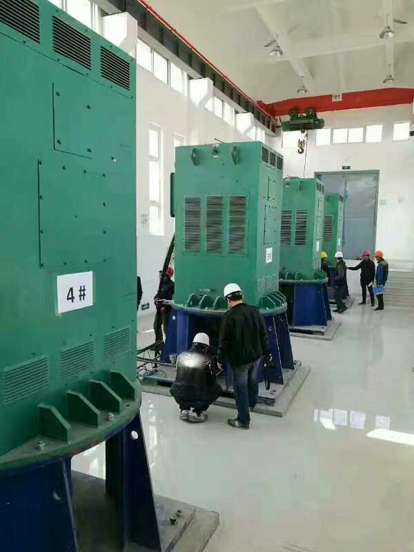 黄梅某污水处理厂使用我厂的立式高压电机安装现场安装尺寸