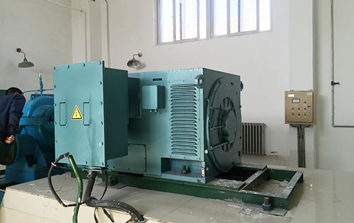 黄梅某水电站工程主水泵使用我公司高压电机现货销售